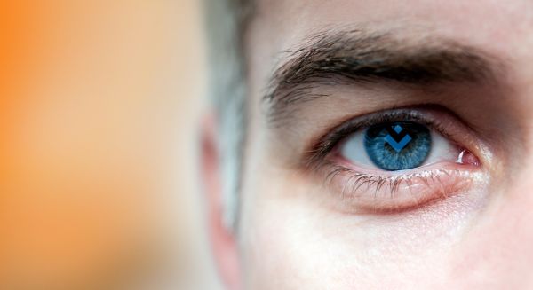 Ihre Ansprechpartner - Auge mit Borries Logo